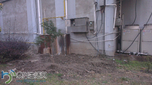 IMAG3321.jpg