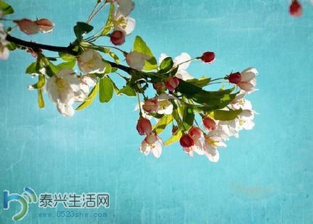 7b38fb67jw1eposw2hpbqj20dw09x74w.jpg