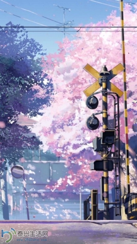 735c1bbbjw1epsbu7rdwaj20jg0ykjw3.jpg