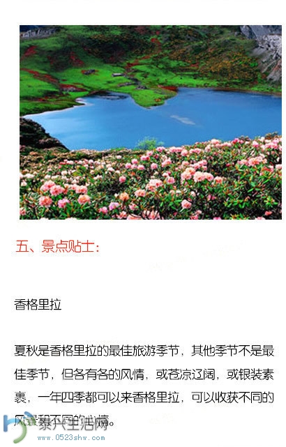 g.jpg