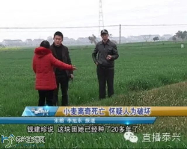 210700laoor54lpp045rpl.webp