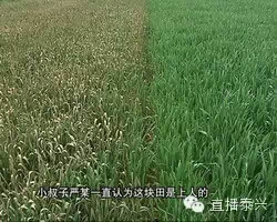 210710xfrfjdfbmdx44mf4.webp
