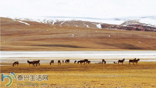 rdn_54d1e8d30168d.jpg