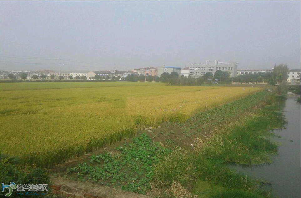 QQͼ20150326151010.png