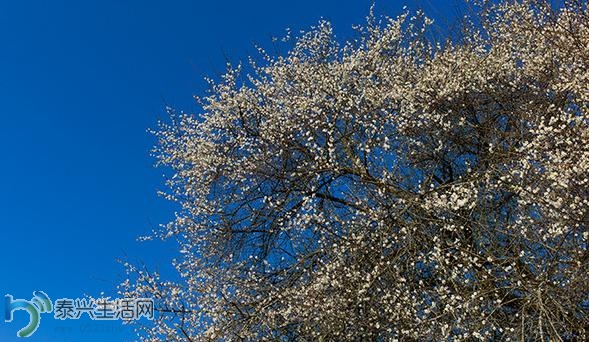360ͼ20150327134119906.jpg