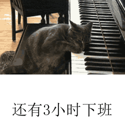 5.gif