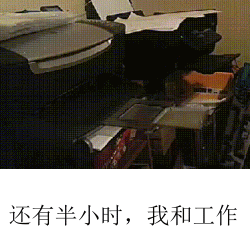 6.gif