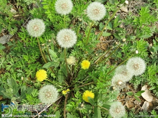 122829e6s66fqhi9j666cf.jpg
