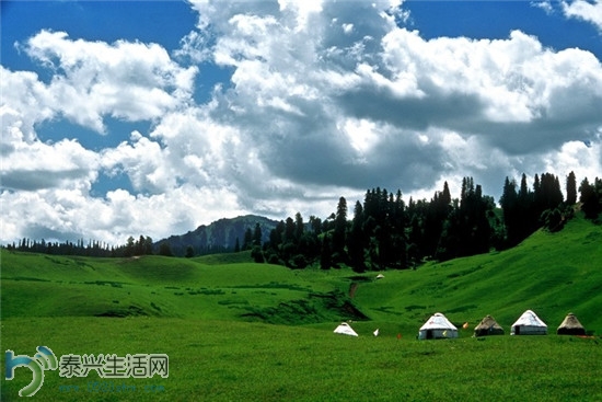 20140804051138961.jpg