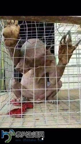 image.jpg