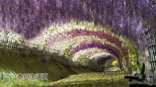 Img343146253.jpg