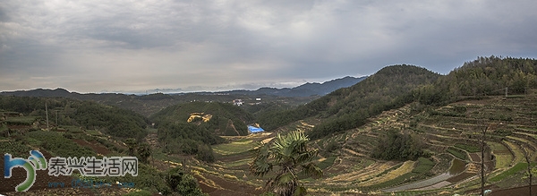 mp9636536_1428391026366_89.jpg