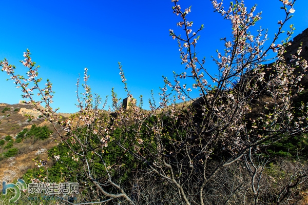 mp10776928_1429049106261_8.jpg