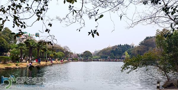 mp10701740_1428990410463_27.jpg