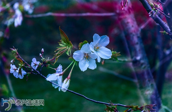 mp8133615_1427387961636_20.jpg