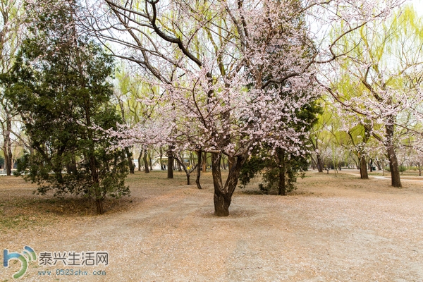 mp8323497_1427494526941_6.jpg