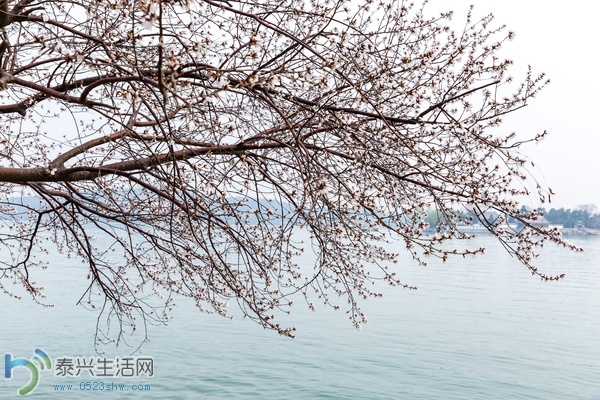 mp8323497_1427494526941_17.jpg