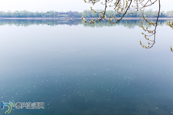 mp8323497_1427494526941_26.jpg