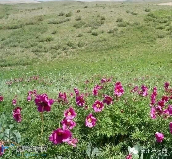 070839l9pkmazkmfu9upem.jpg