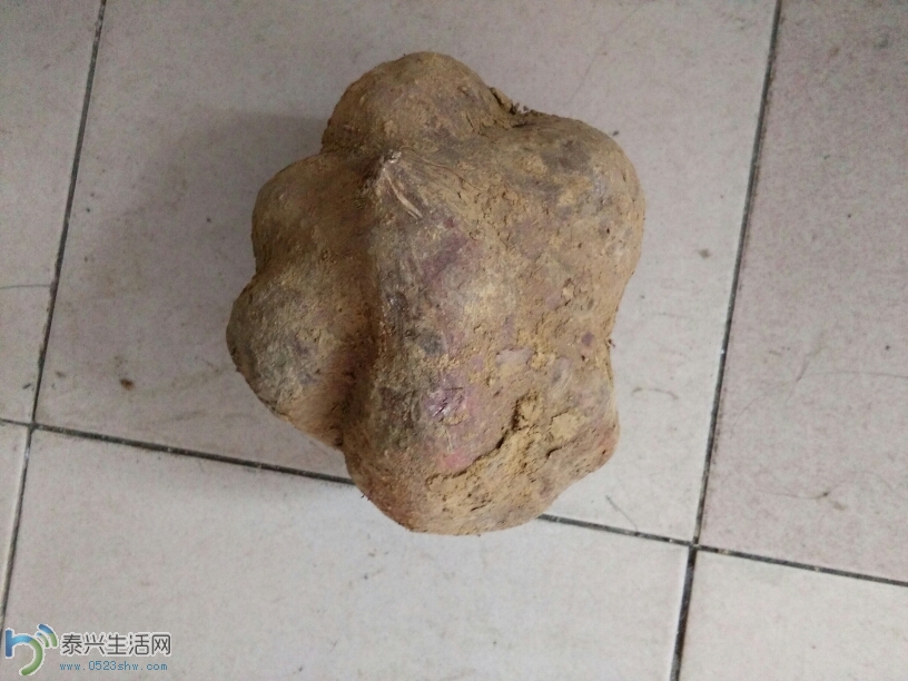 081404nrr8kj6qxuxnprnq.jpg