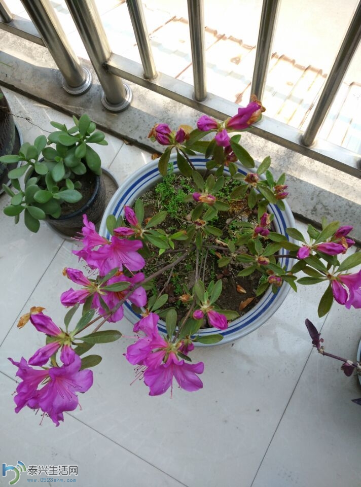 QQͼƬ20150427141509.jpg