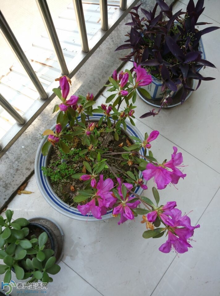 QQͼƬ20150427141530.jpg