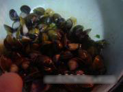 m_201203180914391332351903.jpg