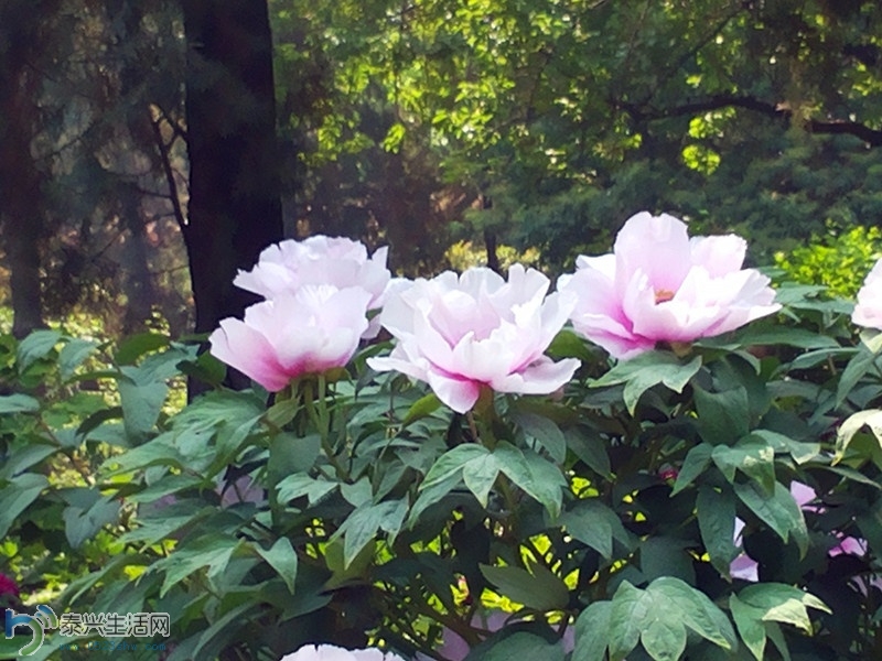j5ca658a1cb7796bb512e5287e0b7dacf.jpg
