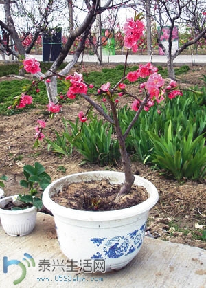 psb (1).jpg