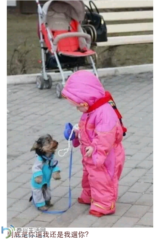 162212hxo7q880zbykub7k.png