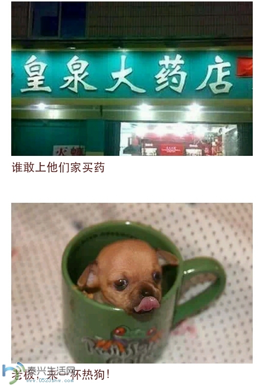 162212lxh6hjvbh7wvh8hw.png