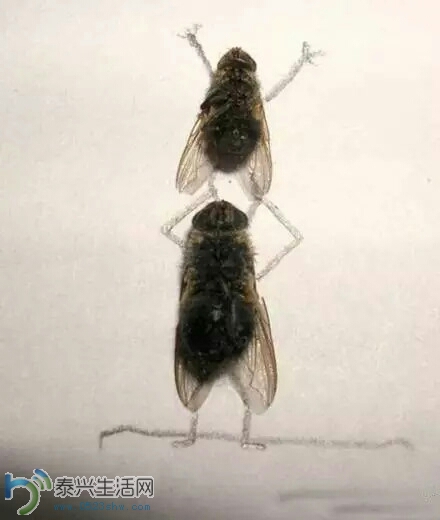 193048vjq2cws2hctzfje2.jpg