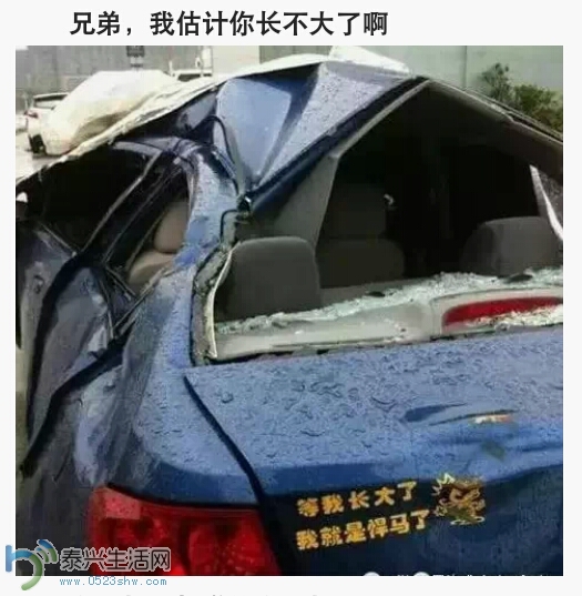 173226rv47l77v14vr61tg.png