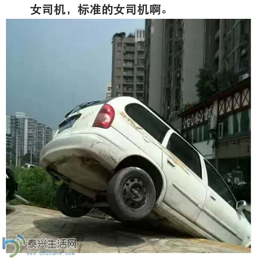 173226z1mg223awz1i1f3w.png