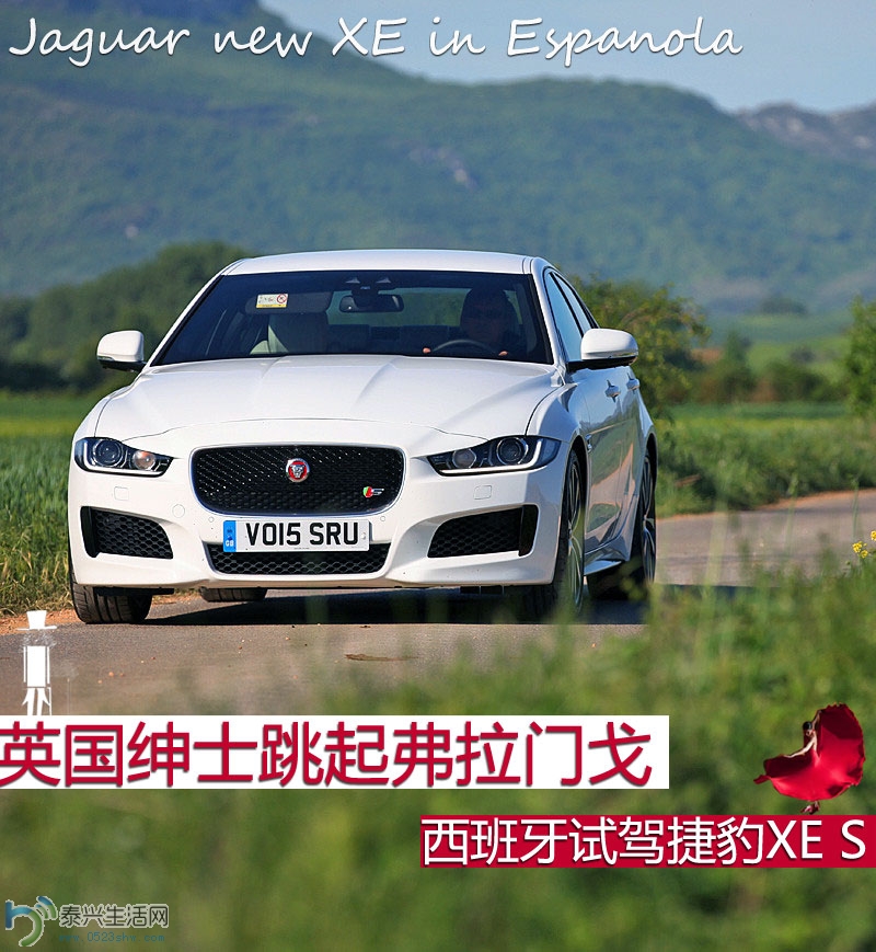 20150519102356350.jpg