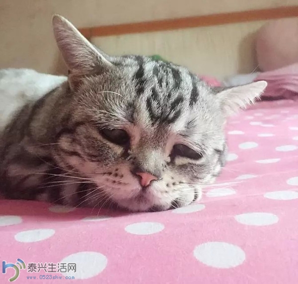 Img415809732.jpeg