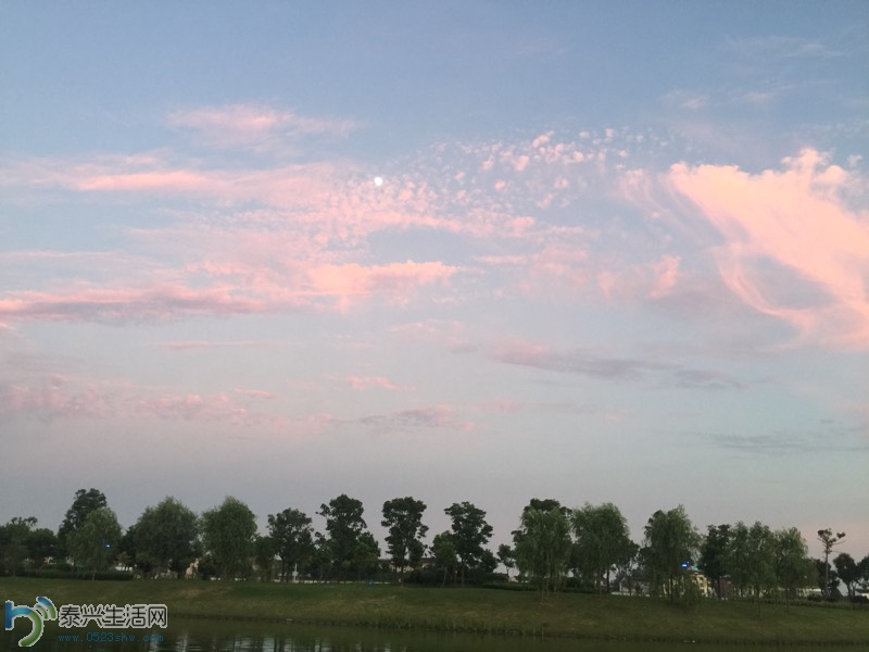 135054hsx9ts2sb2yyotat.jpg