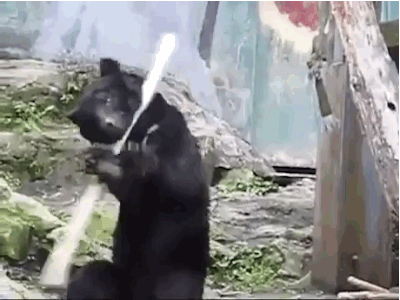 6aa09e8fgw1evtq7cjw1ng20b408chdv.gif