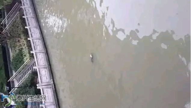 YYͼ20151026163641.png