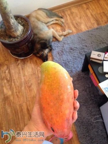 image.jpeg