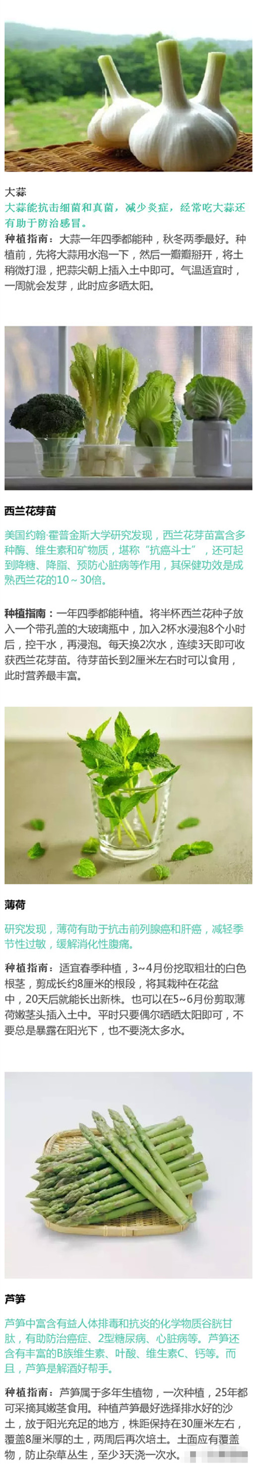 69bdf737gw1ezqrorijumj20c82ar12n.jpg