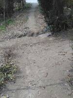 IMG_20160320_103229.jpg.JPG