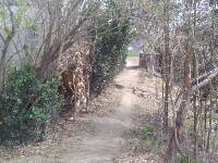 IMG_20160320_103131.jpg.JPG