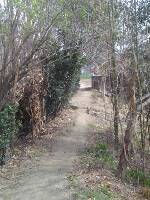 IMG_20160320_103144.jpg.JPG