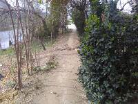 IMG_20160320_103251.jpg.JPG