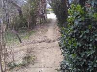 IMG_20160320_103245.jpg.JPG