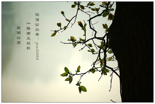 ce337e3cb19f45118d486bb787d98e37_th.jpg