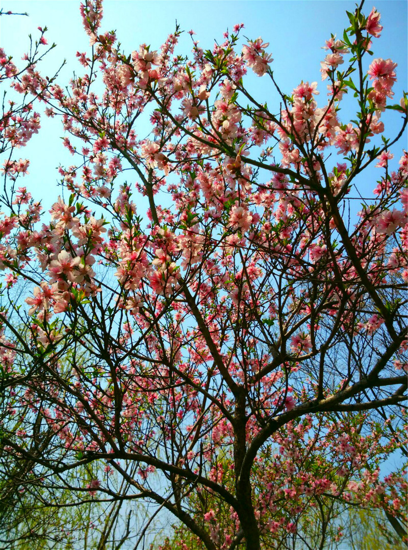 QQͼƬ20160329080821_meitu_5_meitu_1.jpg
