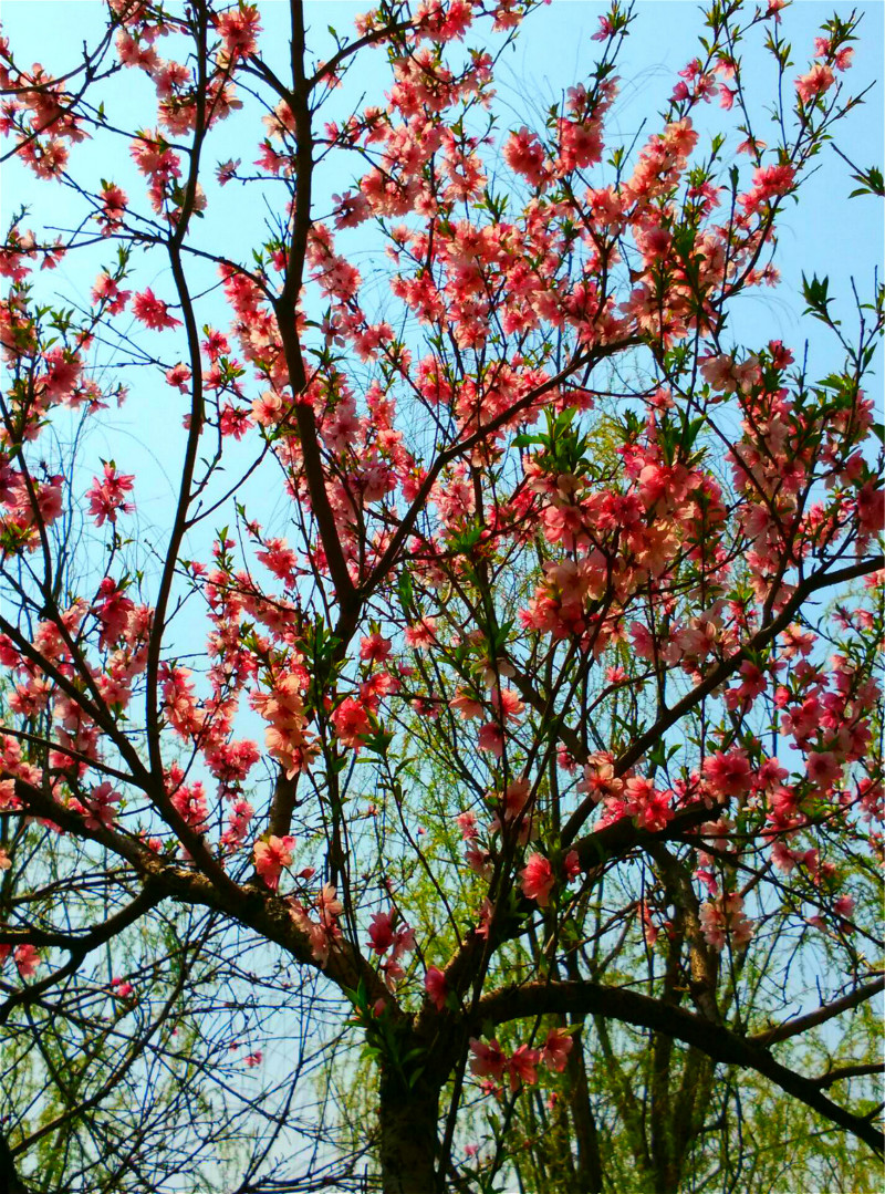 QQͼƬ20160329080805_meitu_4_meitu_2.jpg