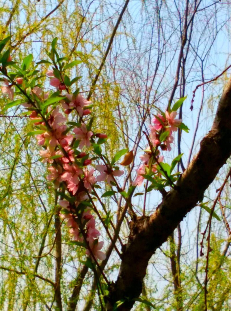 QQͼƬ20160329080856_meitu_1_meitu_3.jpg
